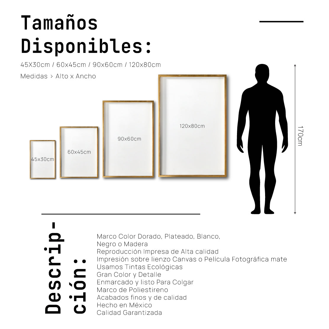 Cuadro Decorativo Roots 003