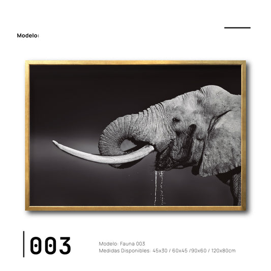 Cuadro Decorativo Fauna 003 Elefante