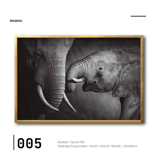 Cuadro Decorativo Fauna 005 Elefantes