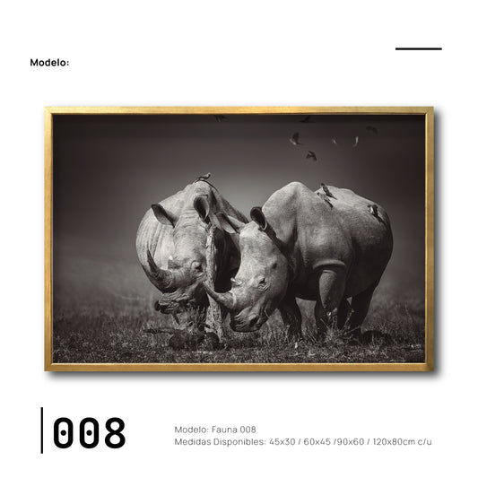 Cuadro Decorativo Fauna 008 Rinocerontes