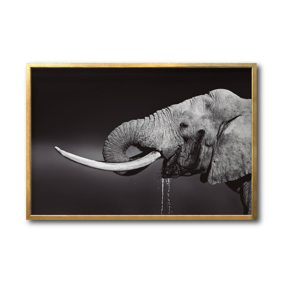 Cuadro Decorativo Fauna 003 Elefante