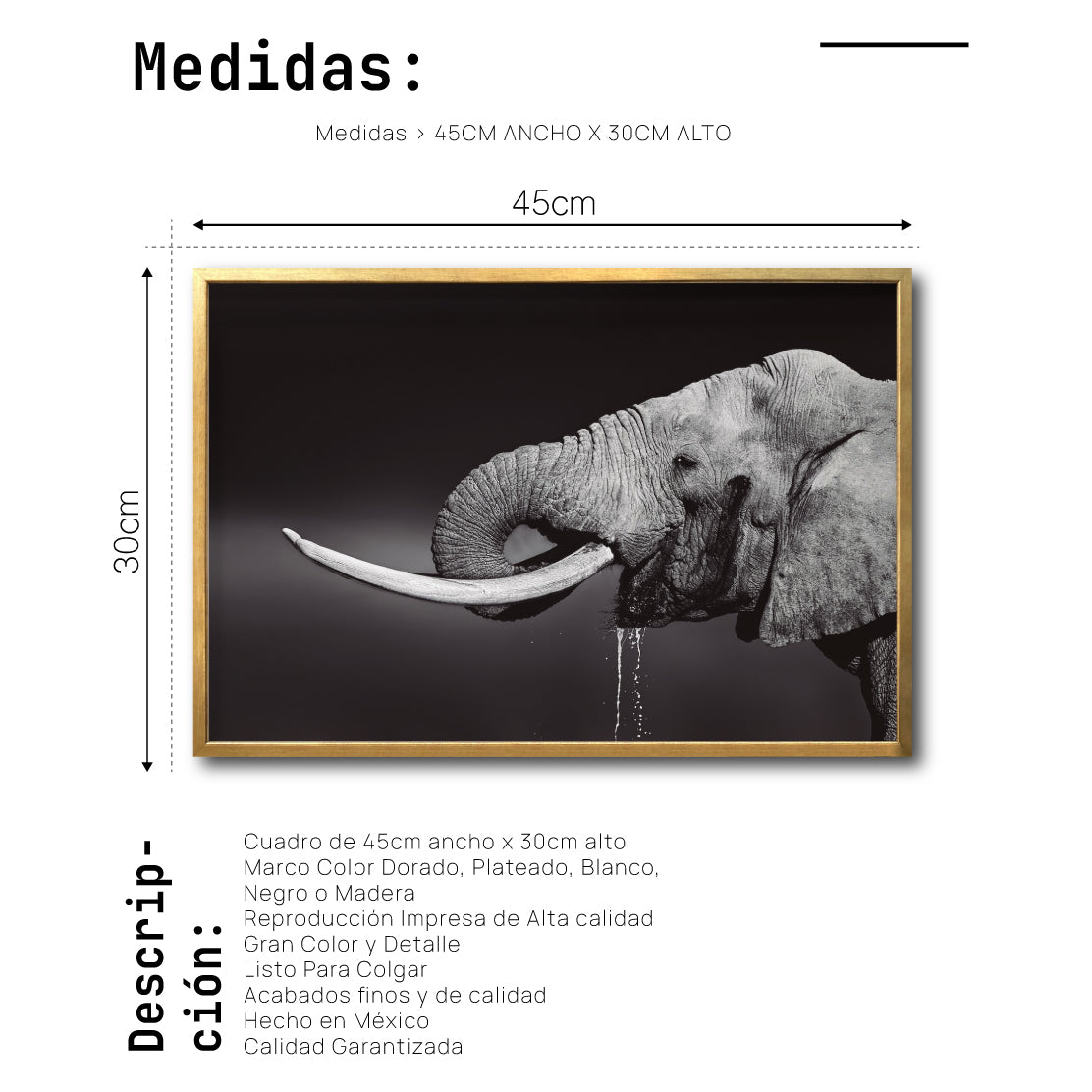 Cuadro Decorativo Fauna 003 Elefante