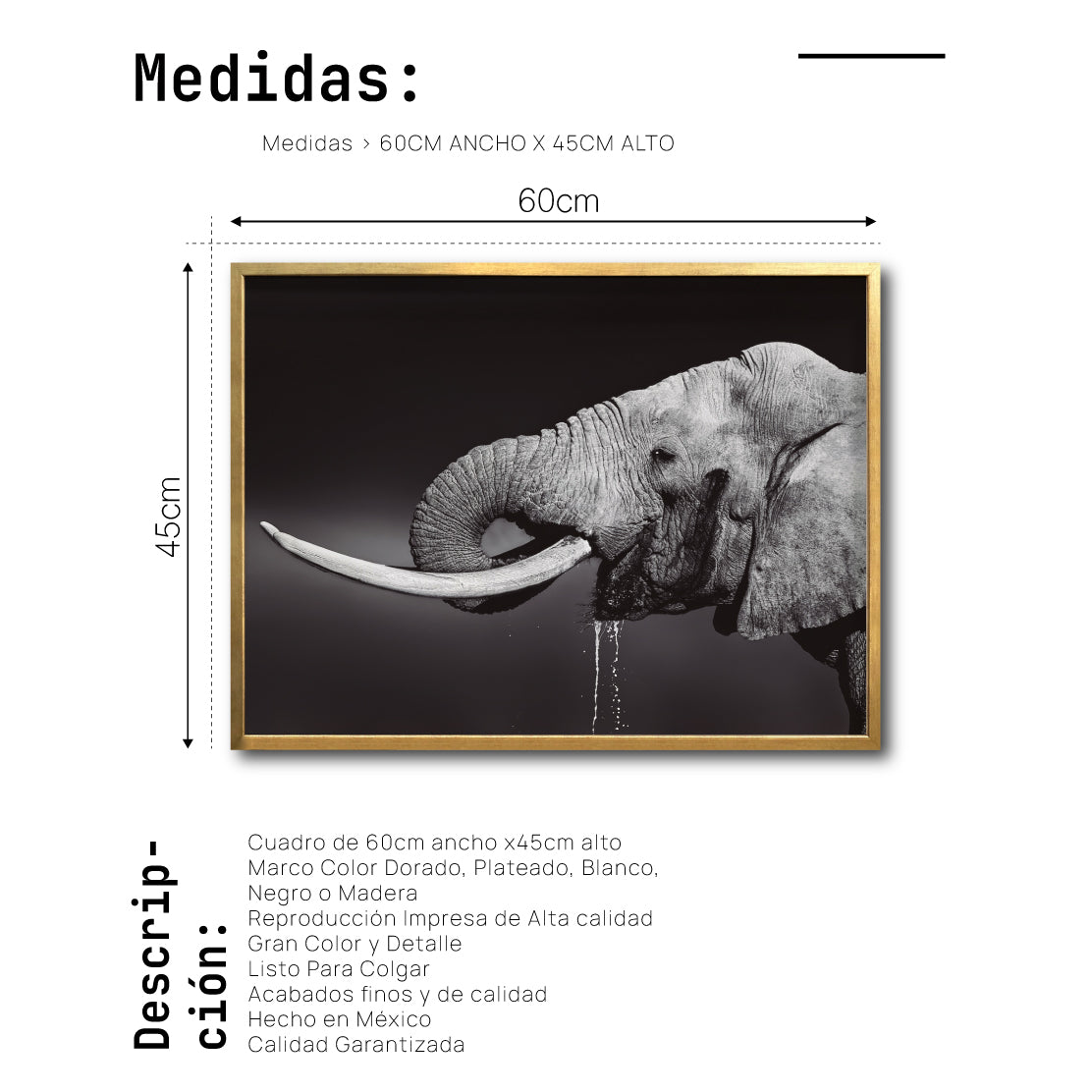 Cuadro Decorativo Fauna 003 Elefante