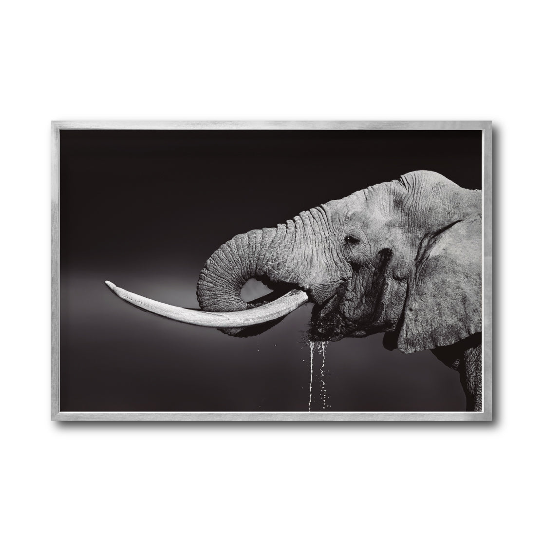 Cuadro Decorativo Fauna 003 Elefante