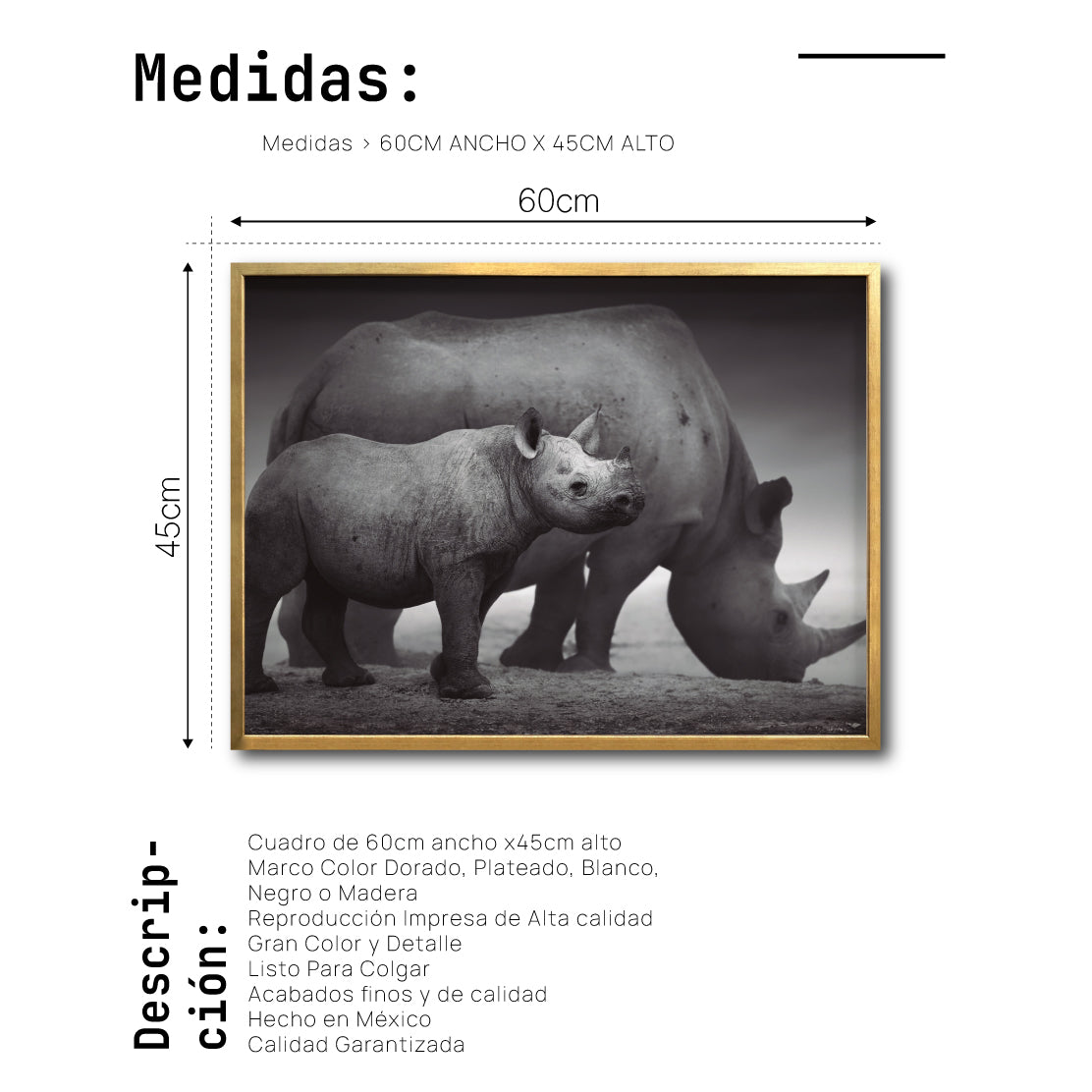 Cuadro Decorativo Fauna 006 Rinocerontes